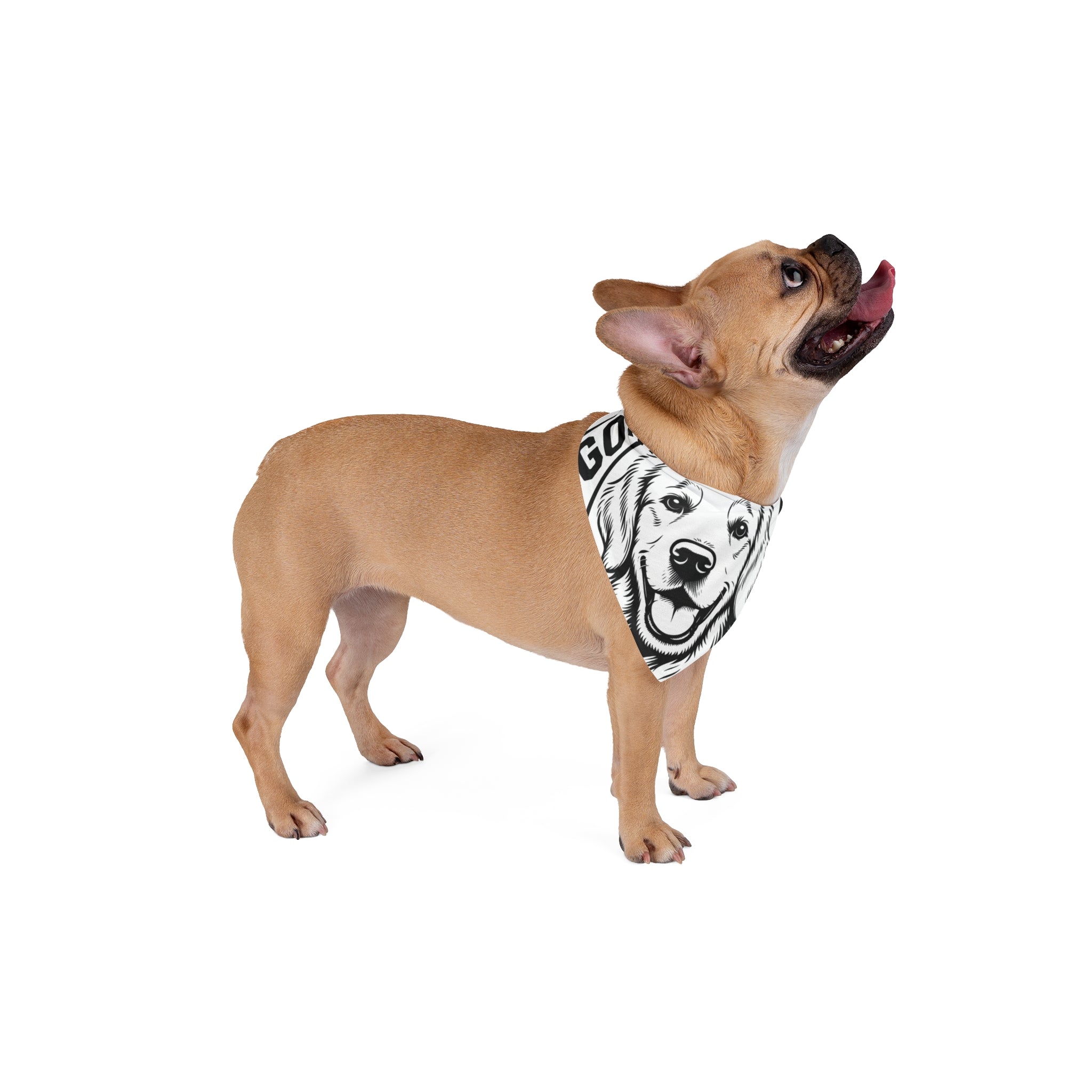 Good Boy Club Drop 001 Pet Bandana | GBC-004 Dog Bandana