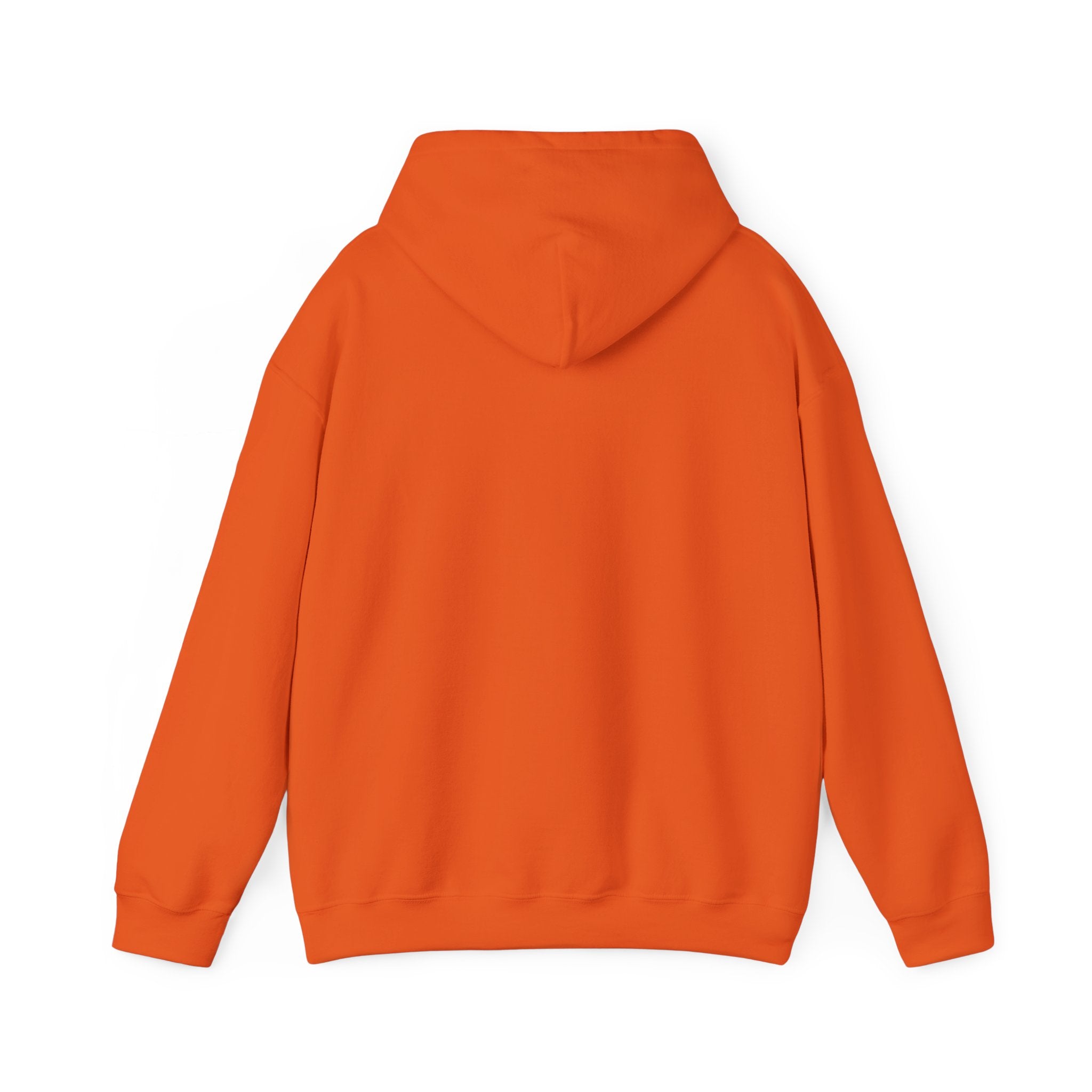 Professional Napper Hoodie | Funny Dog Gift