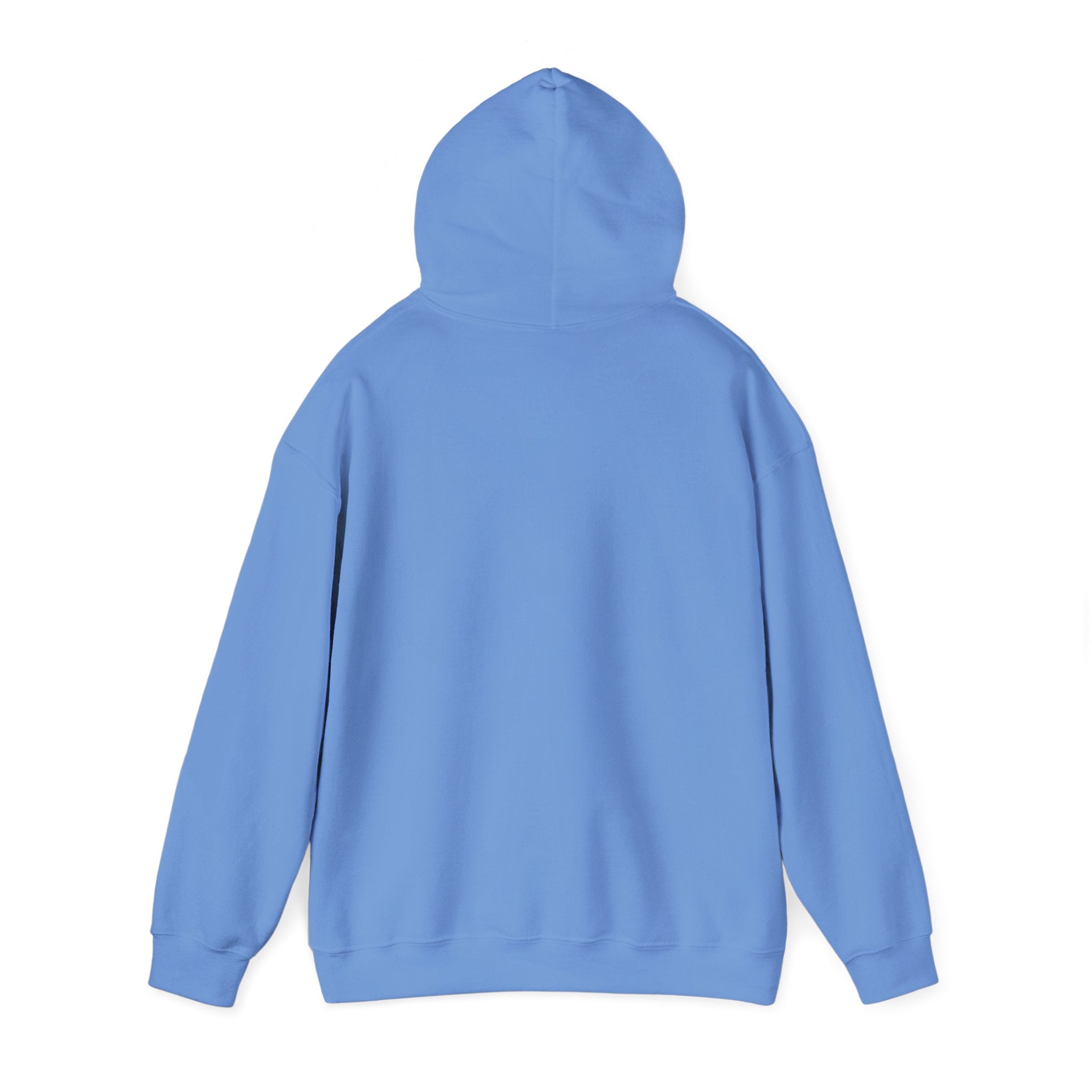 Professional Napper Hoodie | Funny Dog Gift