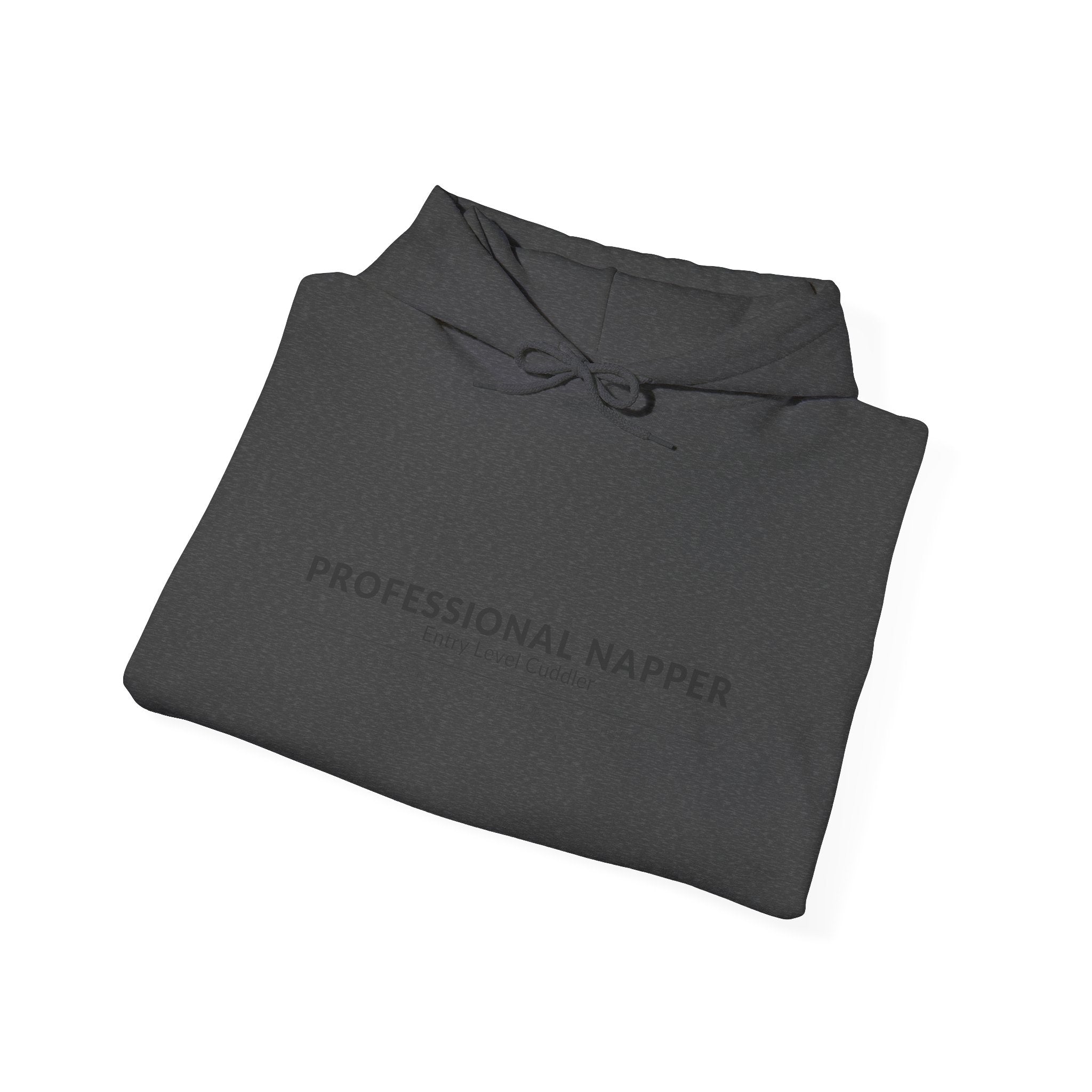Professional Napper Hoodie | Funny Dog Gift