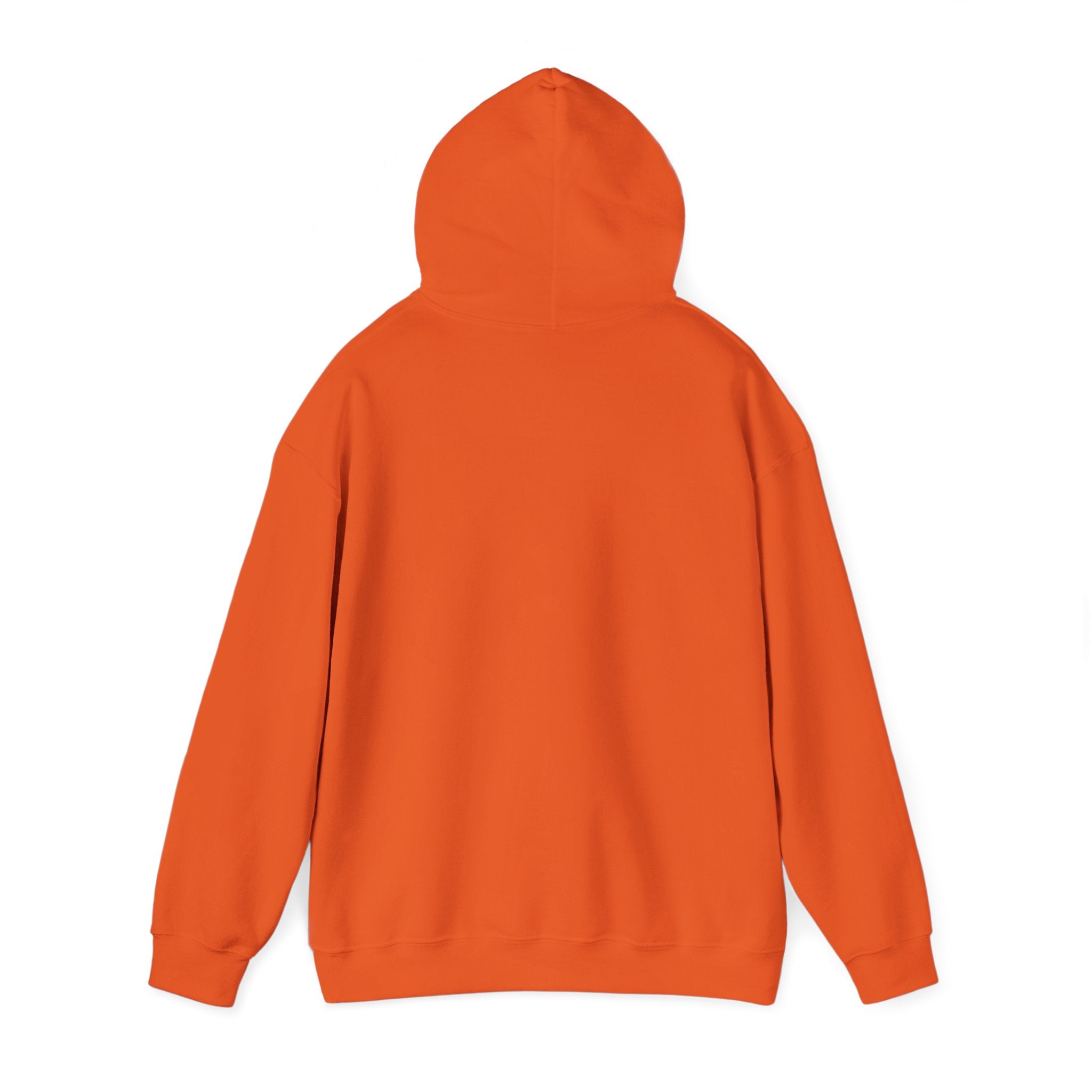 Professional Napper Hoodie | Funny Dog Gift