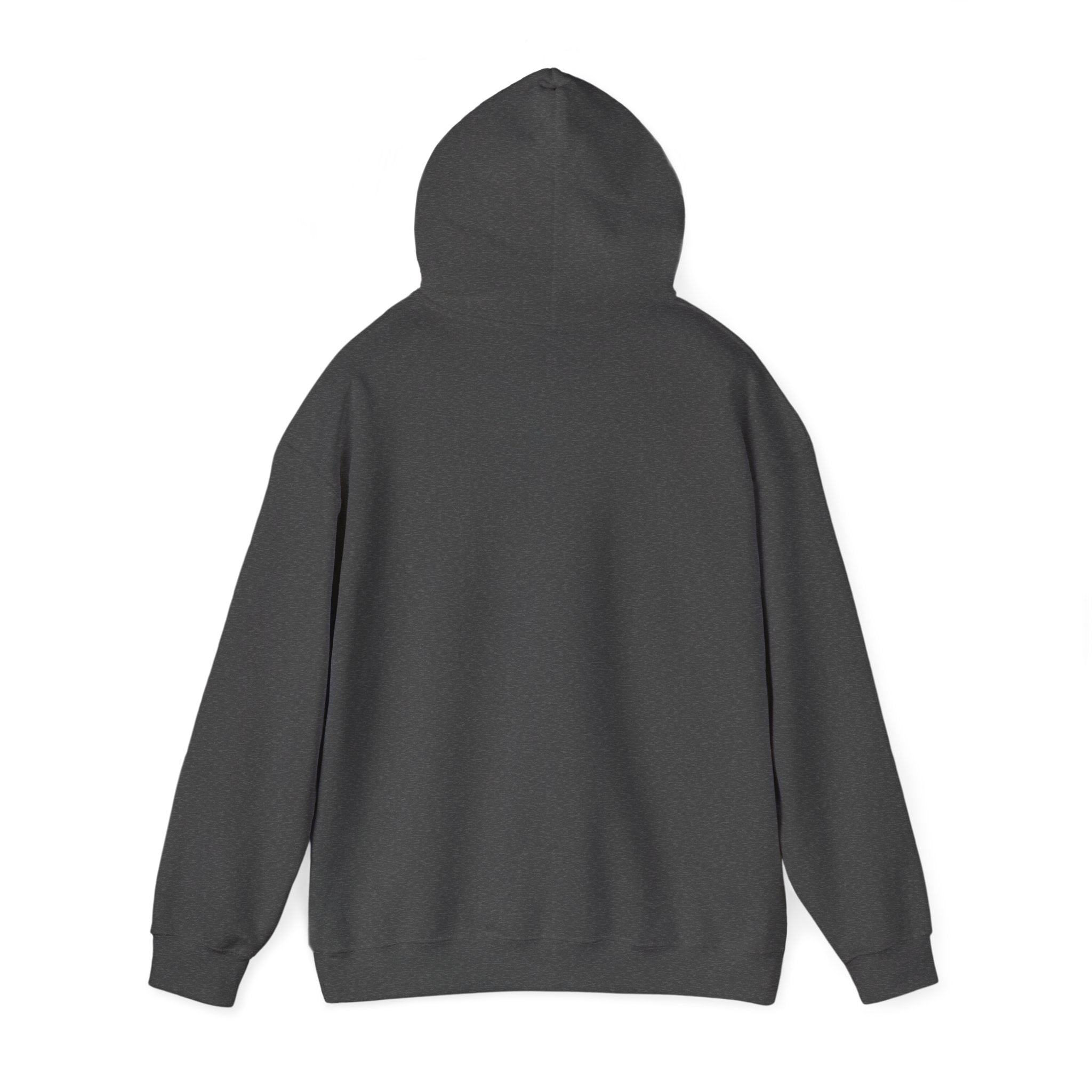 Professional Napper Hoodie | Funny Dog Gift