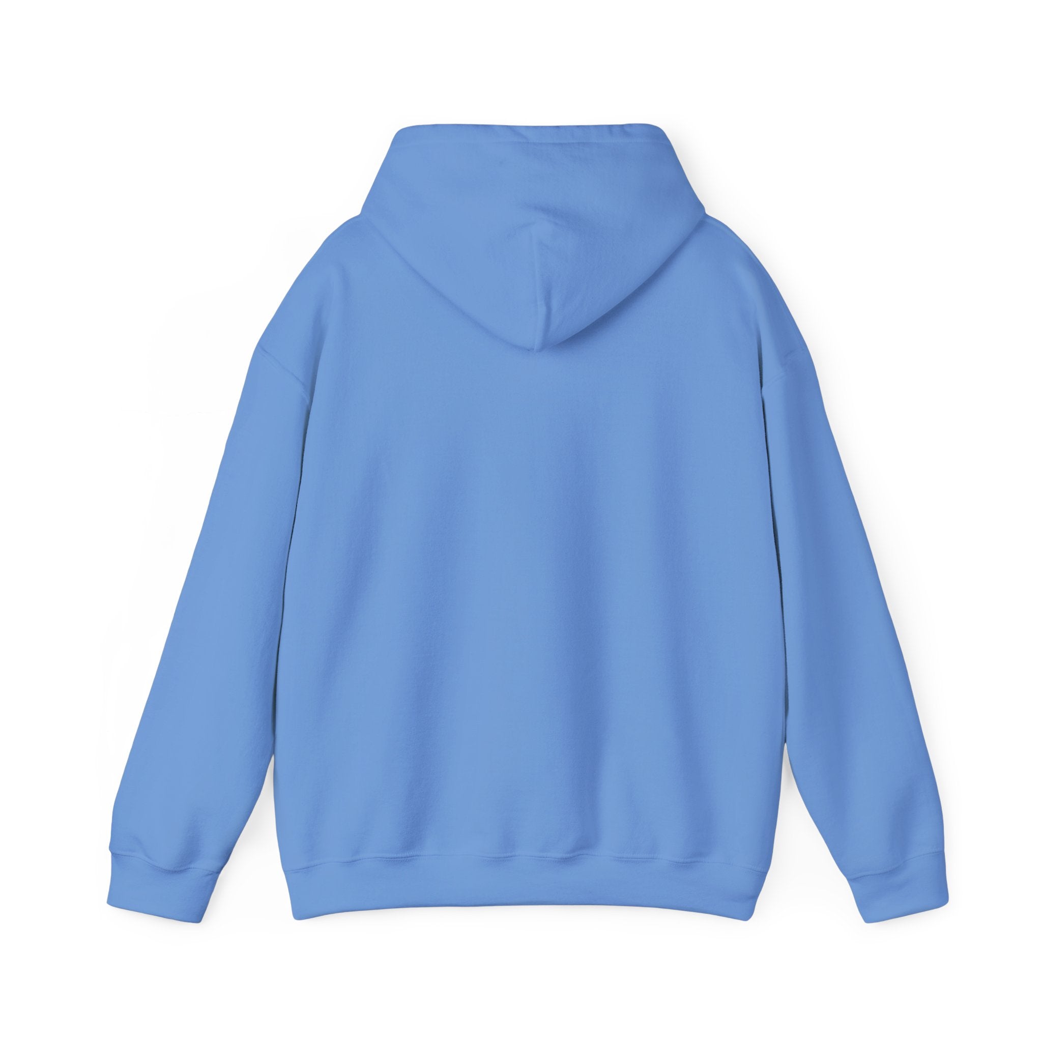 Professional Napper Hoodie | Funny Dog Gift