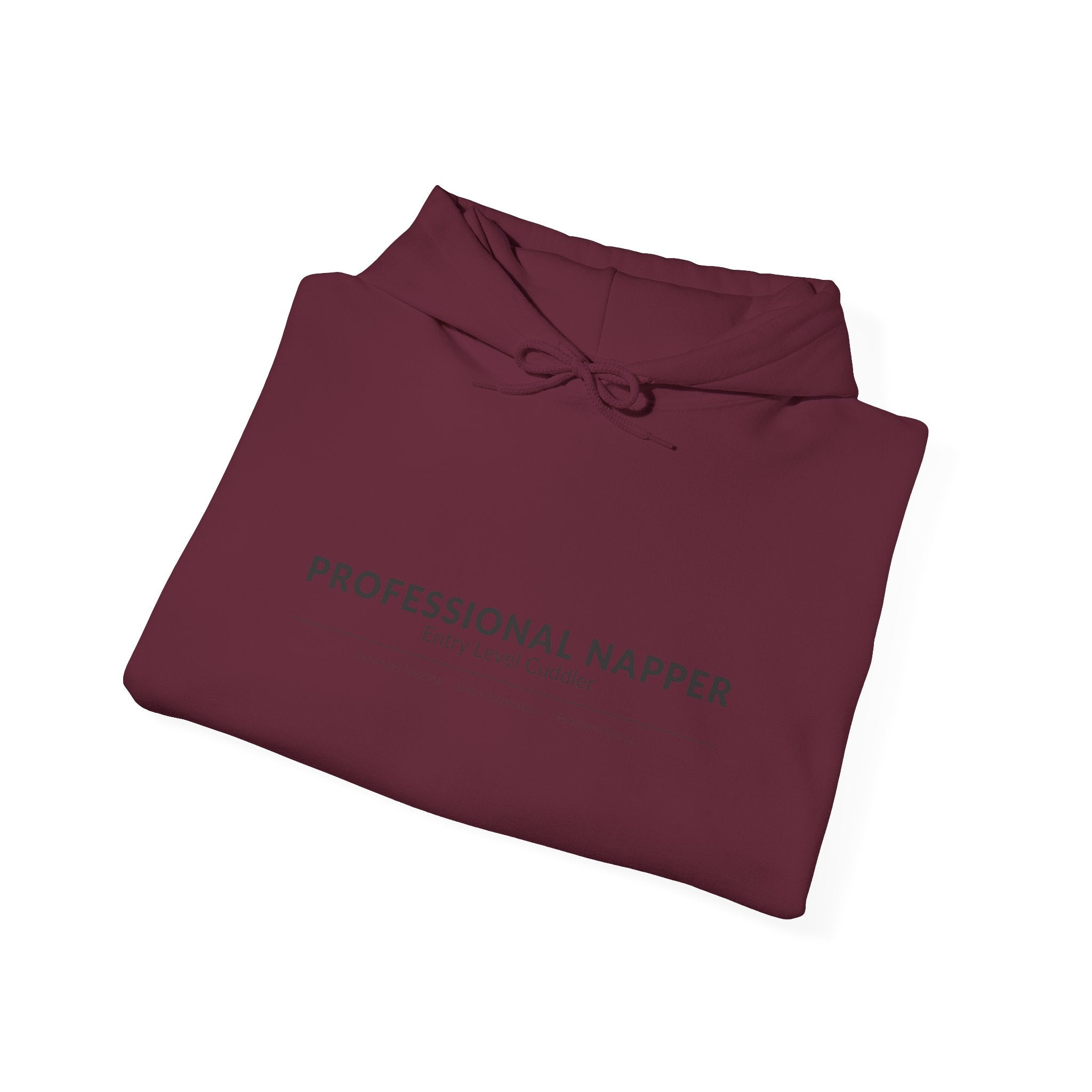 Professional Napper Hoodie | Funny Dog Gift